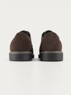 Hombre Alvaro Moreno Vestir|BLUCHER PICADO MARRÓN