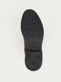 Hombre Alvaro Moreno Vestir|BLUCHER PICADO MARRÓN