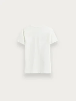 Alvaro Moreno Camisetas|CAMISETA BASICA KIDS