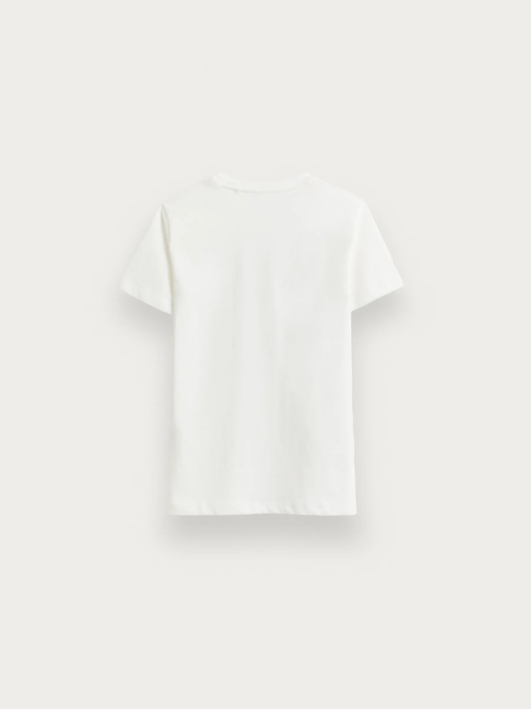 Alvaro Moreno Camisetas|CAMISETA BASICA KIDS