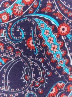 Hombre Alvaro Moreno Pañuelos|Pañuelos|PAÑUELO PRINT